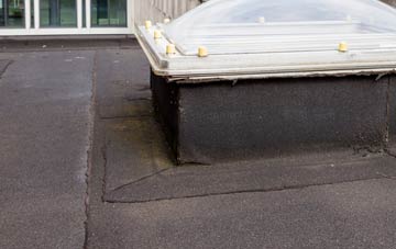 disadvantages of Haddon flat roofs