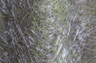 Haddon fibreglass roof work